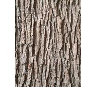 Artificial Tree Bark, 19.69x39.37 Inch Fake Bark for Pillars, Pipes and Decor, Cuttable Simulation Tree for Columns, Walls, Floors and Decoration