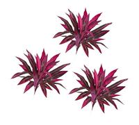 Artificial Tree, Flexible Stems, Dracaena Plant, A