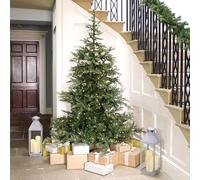 ARTIFICIAL TREE Grandis Fir 7ft - Pre-Lit Christmas Tree with Warm White Lights