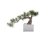 Artificial Tree Green Potted Plants Zen Landscaping Ornaments Home Decoration Simulation Tree High-grade Interior Decorations