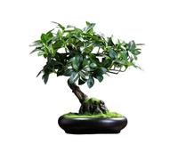 Artificial Trees Fake Green Plants Decorative Simulation Tree Bonsai Ornaments Living Room Potted Tree Chinese Feng Shui Simulation Bonsai Ornaments Simulated Pine