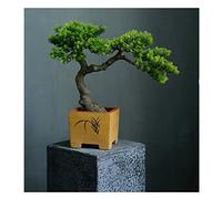 Artificial Trees grade Simulation to Tree Tree Bonsai Hotel Office Tea Several Live Hall Extreme Decoration Beautiful Items Potted plants