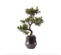 Artificial Trees New Chinese Zen Artificial Cedar, Artificial Stone Bonsai Artificial Plant Decoration, Japanese Tea Room Closet Porch Artificial Potted Artificial Tree Simula