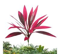 Artificial Tropical Stem Plant, Tall Fake Green Decor, 20.47 Inches Dragon Blood Tree with Realistic Leaf Texture Design, Foliage Display, Modern Garden Accent for Indoor Outdoor Use