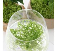 Artificial turf for small scale landscape decoration including bonsai and miniature gardens, made of plastic and designed for outdoor use (100g Light green)