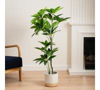 Artificial Umbrella Plant in Black Plant Pot