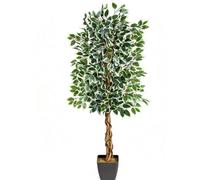 Artificial Variegated Ficus Tree Realistic Faux House Plant In Pot 3Ft 4Ft 5Ft 150Cm