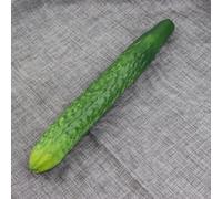 Artificial Vegetables Set Realistic Cucumber & Aubergine for Enhancing Hotel Decor or Unique Photography Compositions (Cucumber)