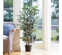 Artificial Weeping Fig Plant - Faux Fake Tall Green Houseplant Tree In Black Pot, Indoor Home Floral Decoration - H130 X 30Cm Dia