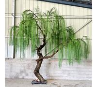 Artificial willow Tree,Fake Plants Artificial willow Plants for Indoor, Fake Trees for Office Home Living Room Floor Patio Greening Porch Decor(3.5m)
