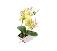 Artificial Yellow Two-pronged Orchid Flower in Pot Silicone Flowerpot Phalaenopsis Potted White Simulation Butterfly Flower 22cm Height (green)