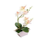 Artificial Yellow Two-pronged Orchid Flower in Pot Silicone Flowerpot Phalaenopsis Potted White Simulation Butterfly Flower 22cm Height (white)