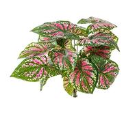 Artificielles.com - Artificial Caladium in Stake 23 Leaves Pack of 6, H 34 cm Green Pink