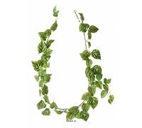 Artificielles.com - Artificial Pothos Garland Length 180 cm Variegated