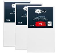 Artina 3pcs Large Paint Canvas Set FSC® Cotton Stretcher Frame Painting | 60x100cm 100% Blank Canvases for Art Acrylic Watercolour & Oil panels artist supplies Akademie