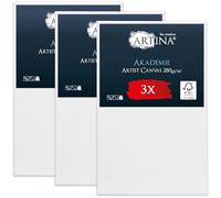 Artina 3pcs Paint Canvas Set FSC® Cotton Stretcher Frame for Painting | 50x80cm 100% Blank Plain Canvases for Art Acrylic Watercolour & Oil panels artist supplies Akademie