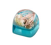 Artisan Key Cap Mechanical Keyboard Artisan Underwater Resin Key Cap featuring MX Switch underwater and creation patterns