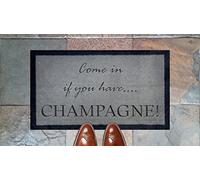 Artisan Kiss Come In If You Have Champagne Nylon Light Grey Brown Cream Green Novelty Door Mat (Light Grey)