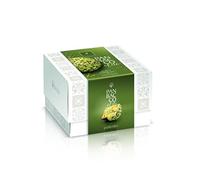 Artisanal panettone "PanBacco Elite" with Sicilian Extra Pistachio Cream, 900 gr, Christmas Cake, Italian Delicatessen