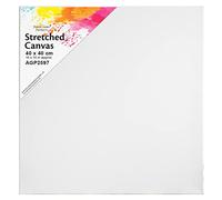 Artist Canvas Art Board Plain Painting Stretched Framed White Large Small Blank (40cm x 40cm)