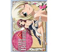 Artist Not Provided - Ah My Buddha 6 [DVD] [Region 1] [US Import] [NTSC]