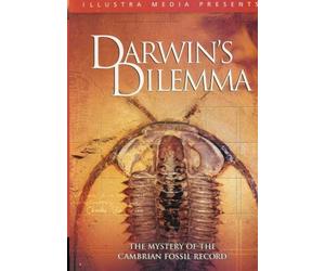 Artist Not Provided - Darwin's Dilemma: The Mystery of the Cambrian Fossil Record [DVD]