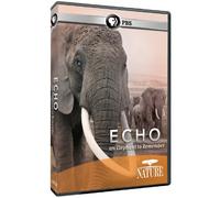 Artist Not Provided - Echo: An Elephant to Remember [DVD] [Region 1] [US Import] [NTSC]