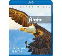Artist Not Provided - Flight: The Genius Of Birds [Blu-ray] [US Import]