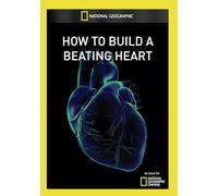 Artist Not Provided - How to Build a Beating Heart [DVD] [Region 1] [US Import] [NTSC]