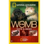 Artist Not Provided - In the Womb: Cats & Dogs [DVD] [2009] [Region 1] [US Import] [NTSC]