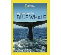 Artist Not Provided - Kingdom of the Blue Whale