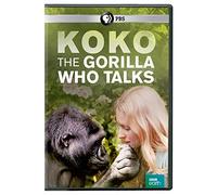 Artist Not Provided - KOKO: THE GORILLA WHO TALKS