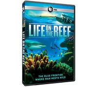Artist Not Provided - Life on the Reef [Region 1]