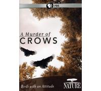 Artist Not Provided - Nature: A Murder of Crows [DVD] [Region 1] [US Import] [NTSC]