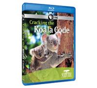 Artist Not Provided - Nature: Cracking the Koala Code [Blu-ray] [2012] [US Import]