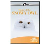 Artist Not Provided - Nature: Magic of the Snowy Owl [DVD] [Region 1] [US Import] [NTSC]