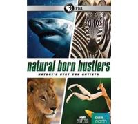 Artist Not Provided - Nature: Natural Born Hustlers
