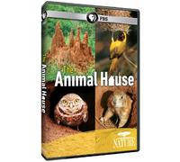Artist Not Provided - Nature: The Animal House [DVD] [Region 1] [US Import] [NTSC]