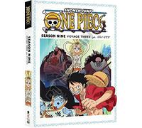 Artist Not Provided - One Piece: Season Nine, Voyage Three