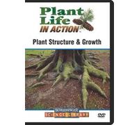 Artist Not Provided - Plant Structure & Growth