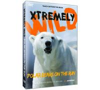 Artist Not Provided - Polar Bears on the Run [DVD] [Region 1] [US Import] [NTSC]