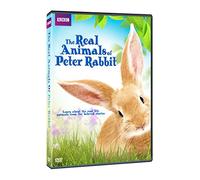 Artist Not Provided - Real Animals of Peter Rabbit, The