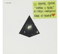 Various Artists - Where Is Here?