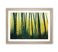 Artistic Bamboo Forest Framed Wall Art Print A2 Oak