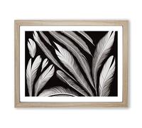 Artistic Bird Feathers Framed Print | A4 Oak Framed Wall Art | Ready to Hang | Modern Nature Picture | Living Room Bedroom Lounge Office
