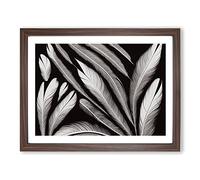 Artistic Bird Feathers H1022 Framed Print for Living Room Bedroom Home Office Décor, Wall Art Picture Ready to Hang, Walnut A4 Frame (34 x 25 cm)