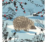 Artistic Charity Christmas Cards (MG3046) - Winter Hedgehog - Pack of 8 Cards