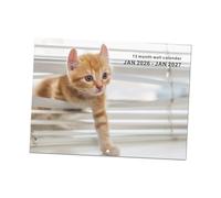Artistic Feline Wall Calendar 2026 Thick Recycled Paper Clear Numbering Practical Hanging Hook Perfect for Cats Lovers Home Desk Calendar