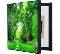 Artistic Fuse Box Cover Panel, Creative Electrical Meter Decoration for Modern Homes, Multi-Purpose Design for Living Rooms, Bedrooms & Hallways