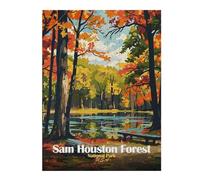 Artistic Jigsaw Puzzle for Adults, Sam Houston Forest National Park, 500 PCS